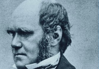 portrait charles darwin midlife