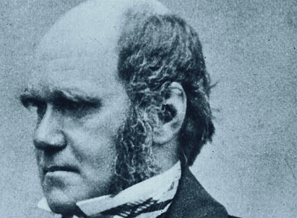 portrait charles darwin midlife